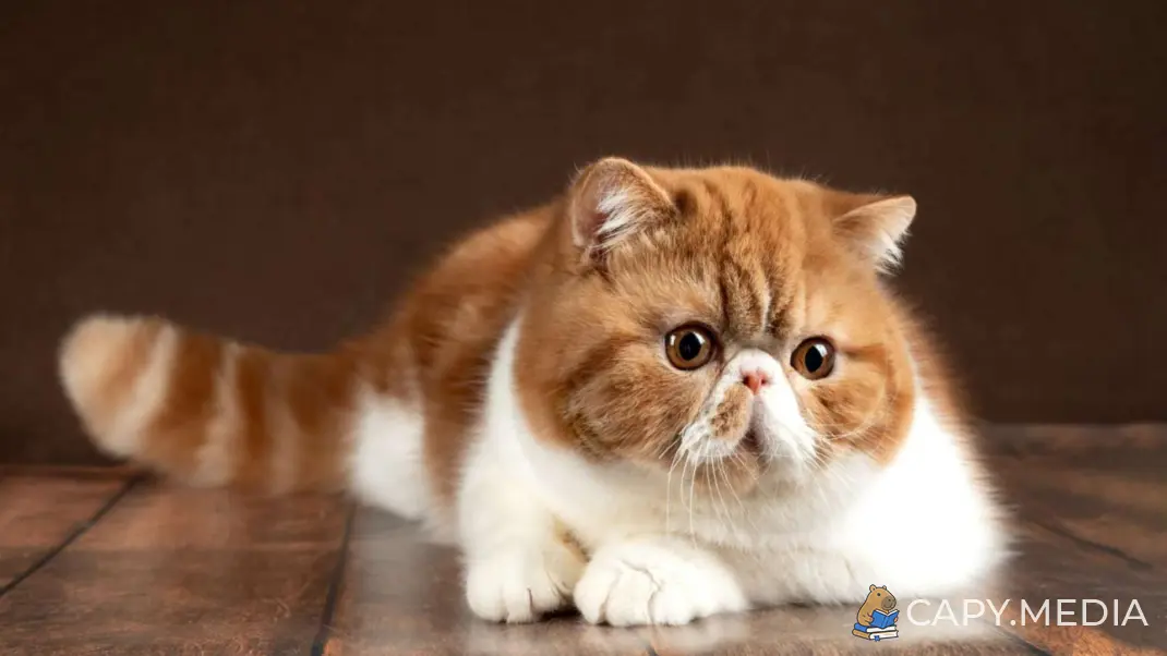 Фотография: классический экзот